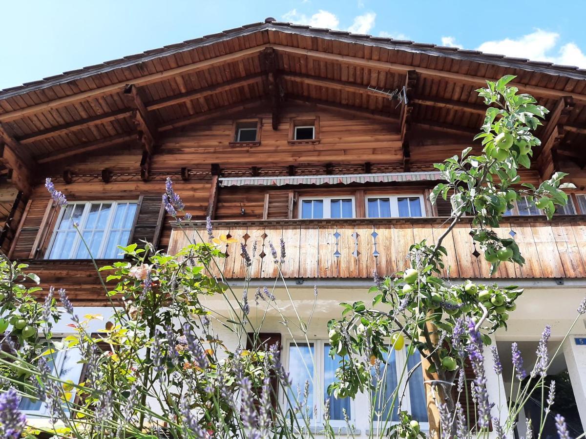 Cozy Chalet By Interlaken. Parking Ринггенберг Экстерьер фото